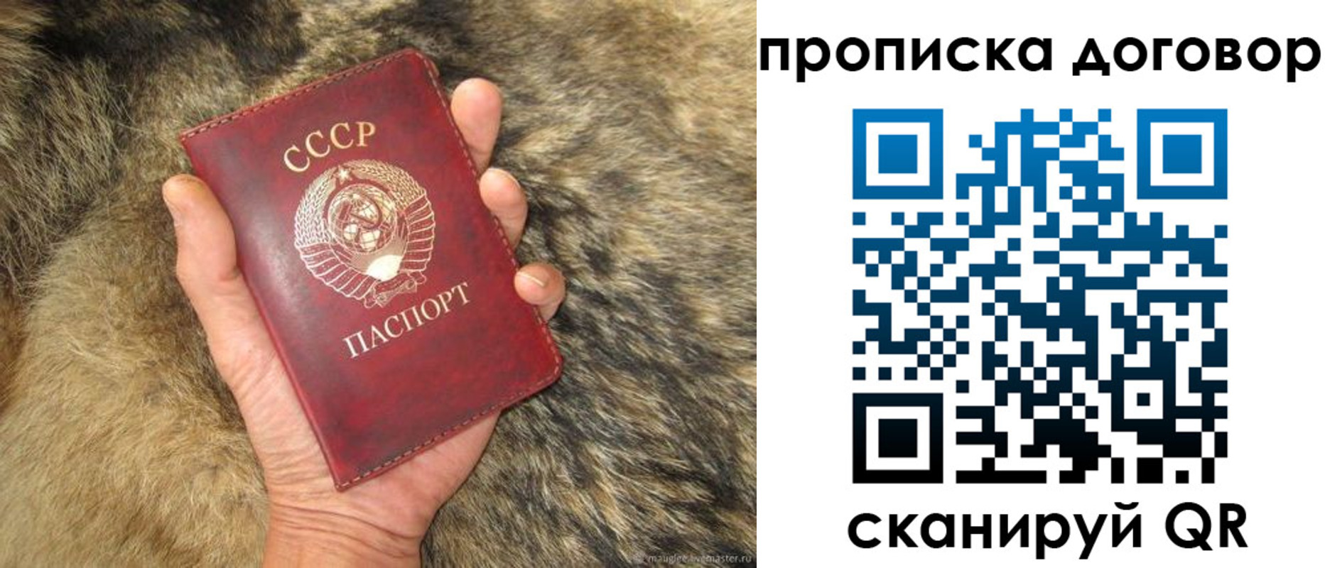 прописка регистрация в Болотном